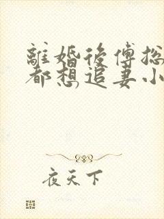 离婚后傅总每天都想追妻小说免费阅读