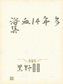浴血14年多少集