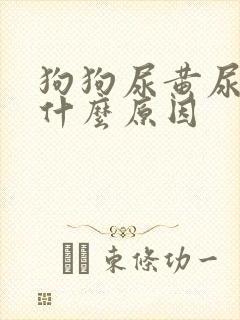 狗狗尿黄尿少是什么原因