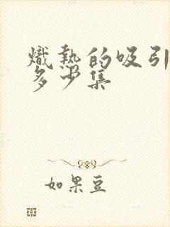 炽热的吸引一共多少集