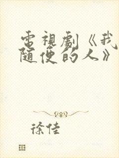 电视剧《我不是随便的人》主要演员