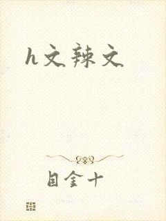 h文辣文封面