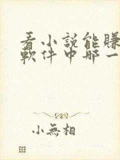 看小说能赚钱的软件中哪一个最好?