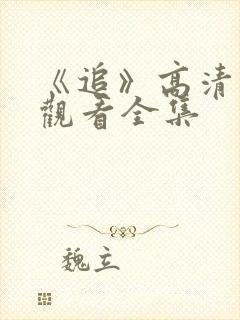 《追》高清免费观看全集