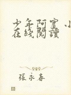 少年阿宾 小说在线阅读