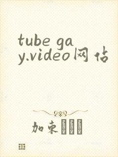 tube gay.video网站封面