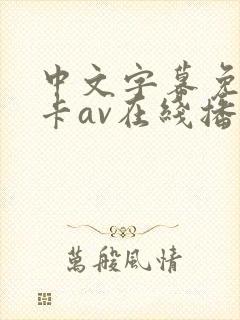 中文字幕免费不卡av在线播放