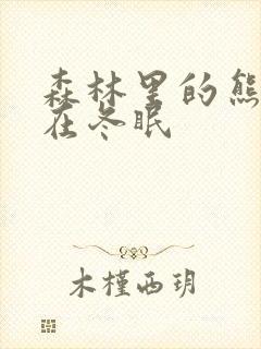 森林里的熊先生在冬眠