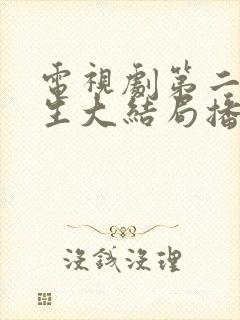 电视剧第二次人生大结局播放