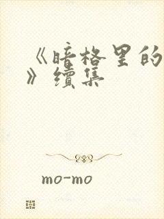 《暗格里的秘密》续集