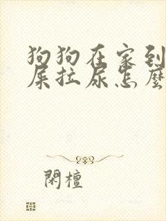 狗狗在家到处抗屎拉尿怎么办