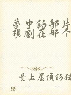 梦中的那片海电视剧在哪个台播出