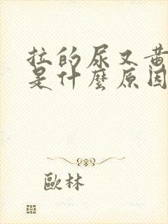 拉的尿又黄又臭是什么原因