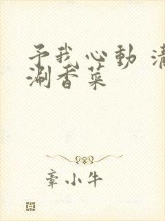 予我心动 清汤涮香菜