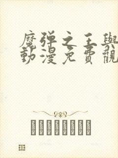 魔弹之王与战姬动漫免费观看完整版封面