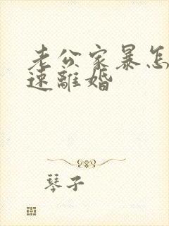 老公家暴怎么快速离婚