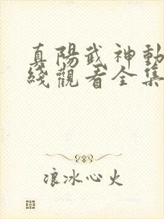 真阳武神动漫在线观看全集免费播放封面