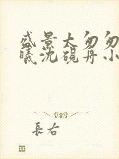 盛景太匆匆宁若曦沈砚舟小说