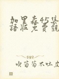 加里森45集国语版免费观看西瓜