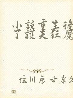 小说重生后我成了护夫狂魔封面