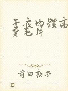 午夜肉体高潮免费毛片封面