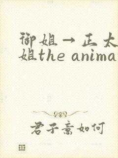 御姐→正太←御姐the animation