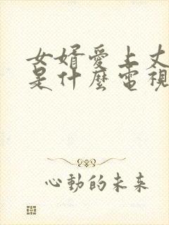 女婿爱上丈母娘是什么电视剧啊