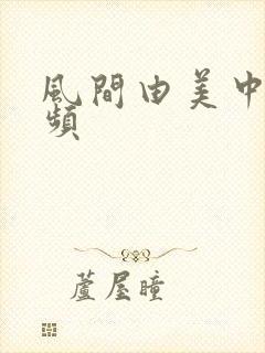 风间由美中文视频