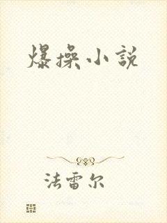 爆操小说封面