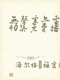 无声寒冬电视剧40集免费播放在线观看下载封面