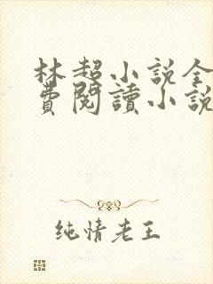 林超小说全文免费阅读小说