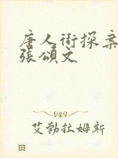 唐人街探案网剧张颂文