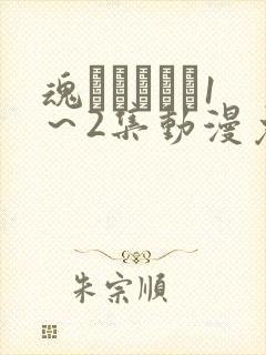 魂インサート1～2集动漫免费播放