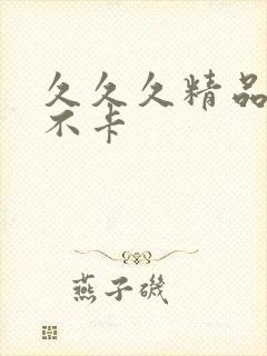 久久久精品久久不卡