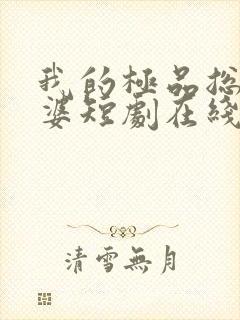 我的极品总裁老婆短剧在线全集免费