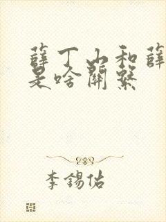 薛丁山和薛平贵是啥关系