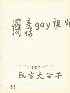 国产gay视频网站