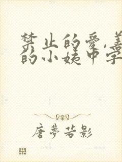 禁止的爱,善良的小姨中字未删减