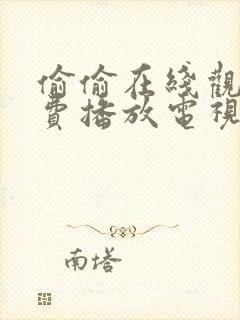 偷偷在线观看免费播放电视剧大全我婆婆和