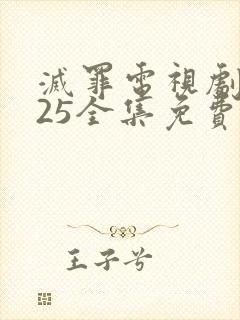 灭罪电视剧2025全集免费观看封面