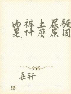 内裤上尿骚味重是什么原因女