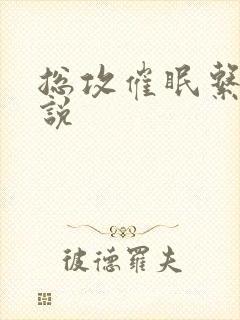 总攻催眠系统小说