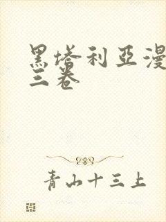 黑塔利亚漫画第三卷封面