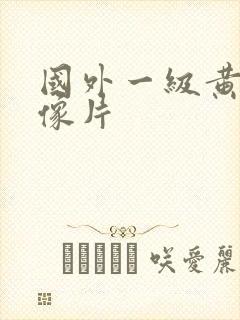 国外一级黄色录像片