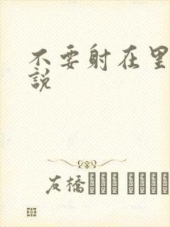 不要射在里面小说