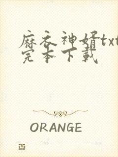 麻衣神婿txt完本下载