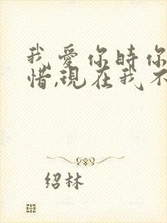 我爱你时你不珍惜,现在我不爱了封面