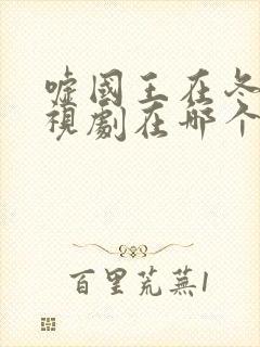 嘘国王在冬眠电视剧在哪个平台播放