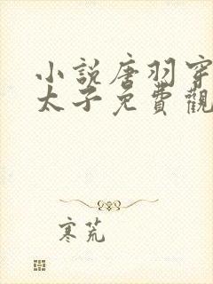 小说唐羽穿越成太子免费观看封面