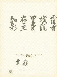 加布里埃霍尔电影免费观看